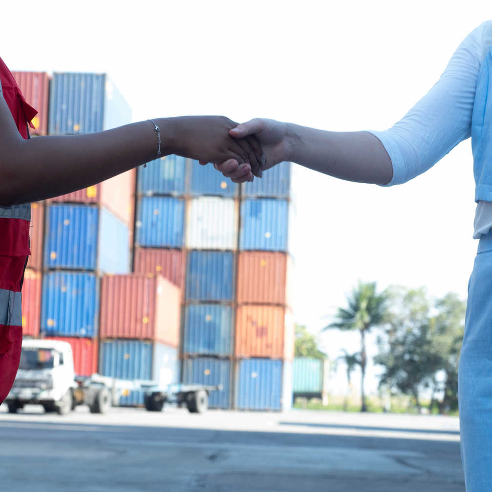 Shake Hand Between Black African Skin White Caucas