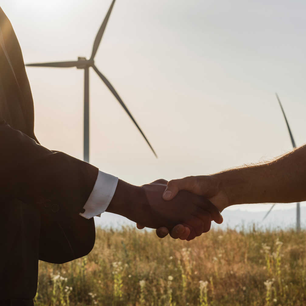 Close Up Of Diverse Partners Shaking Hands