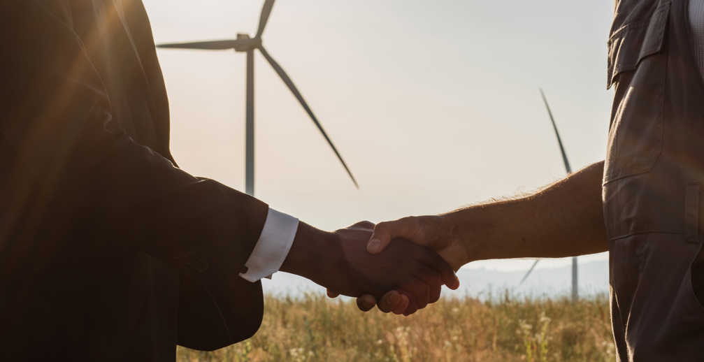 Close Up Of Diverse Partners Shaking Hands