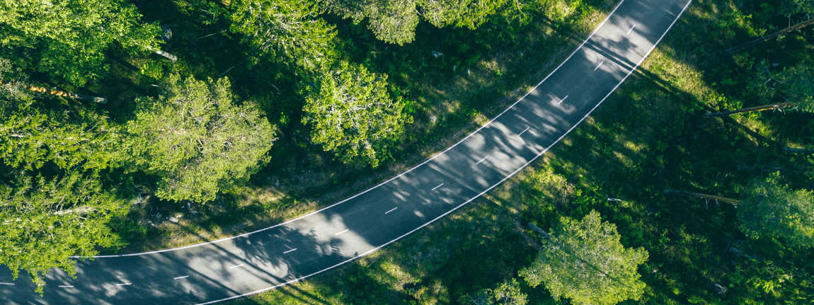 Aerial View Of Forest Road In Summer