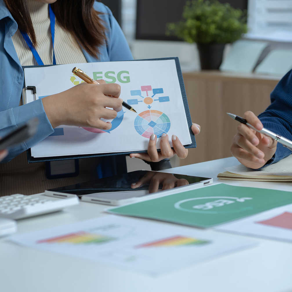 Sustainable Development And Innovation Green Business