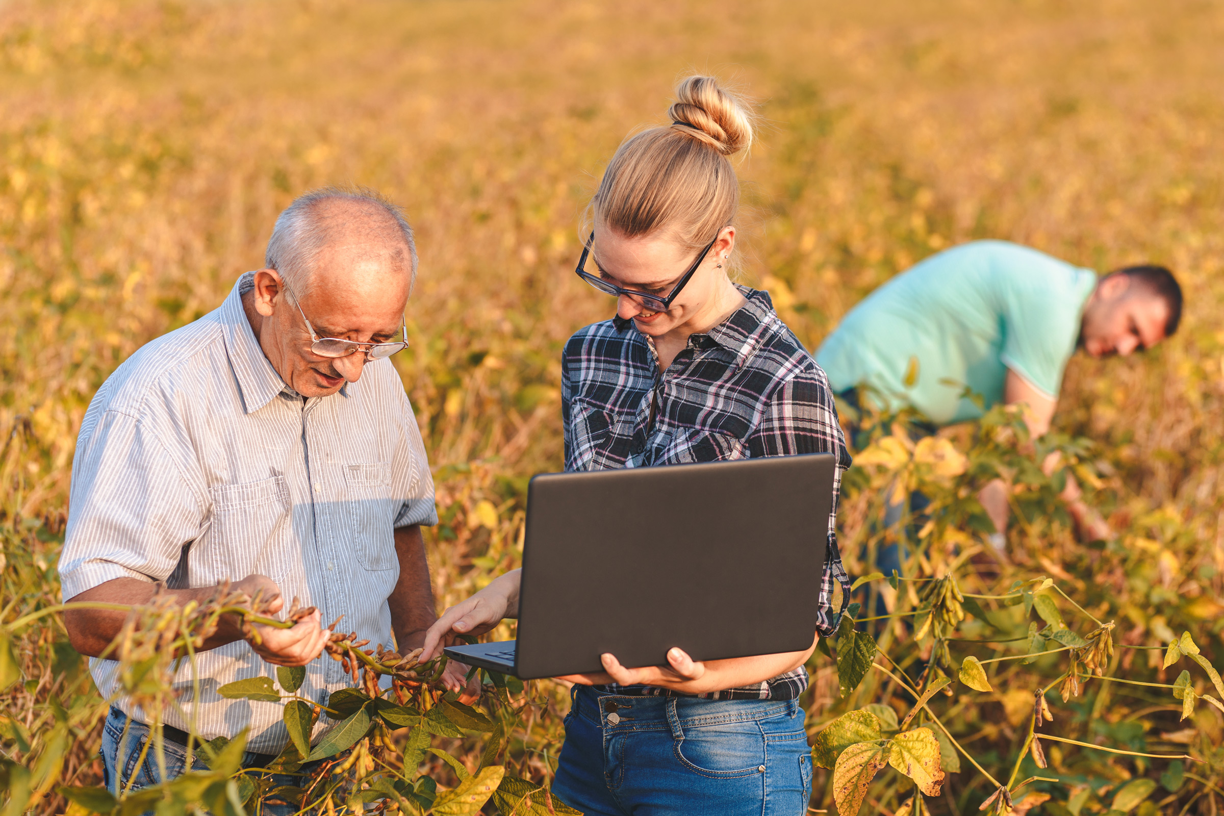 Group Of Farmers With Laptop Standing In A Field